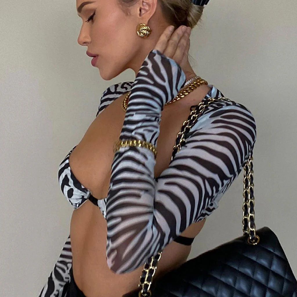 Animal Print Long Sleeve Bralette Mesh Crop Top - Zebra - Image 2