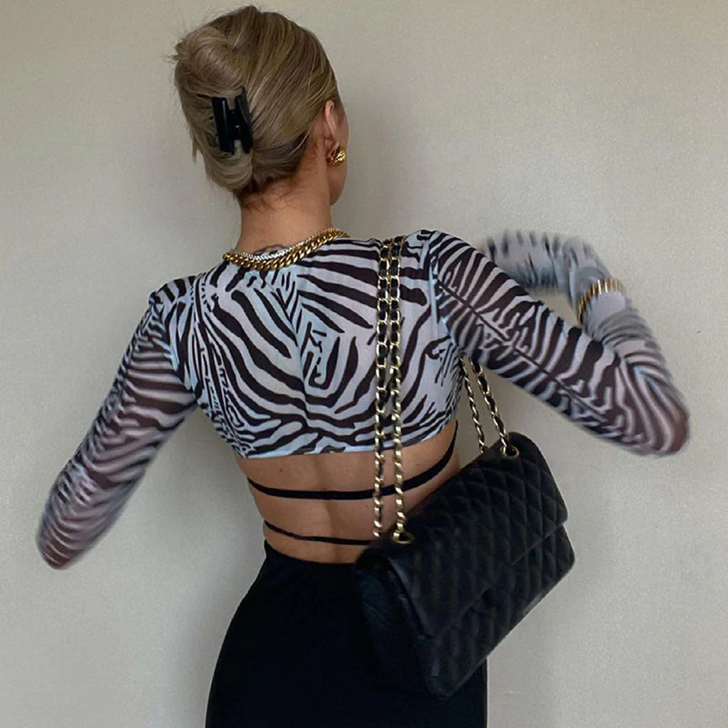 Animal Print Long Sleeve Bralette Mesh Crop Top - Zebra - Image 3