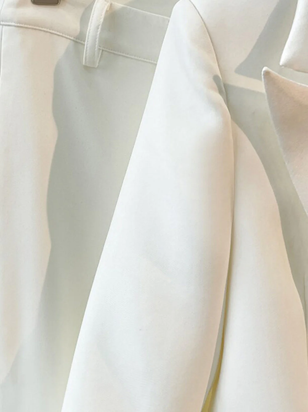 FERRA Blazer & Pants w Feathers Set - Image 12